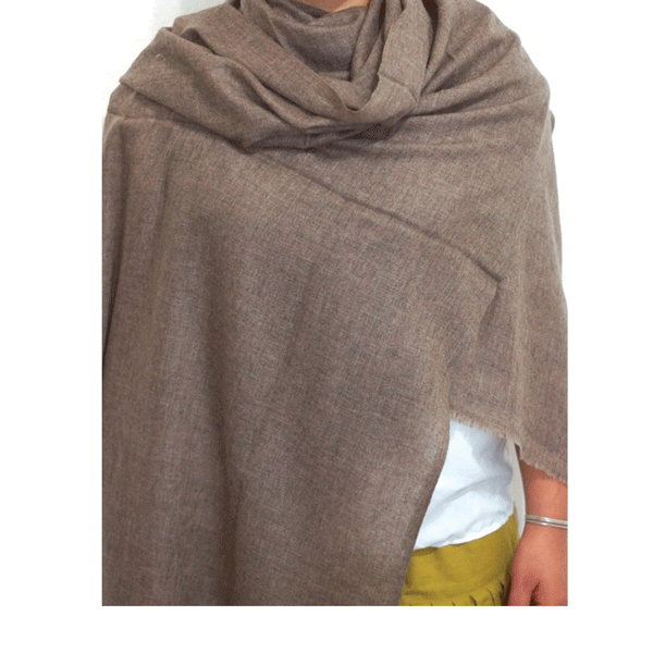 Online Price of Cashmere Pashmina Scarf in USA | Pashmina shawl .