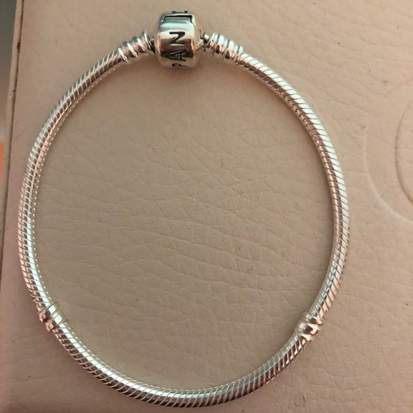 Pandora Jewelry | Classic Charm Bracelets | Poshma