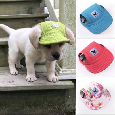 Dog Hats Fashionable Puppy Hats in different sizes online buy no