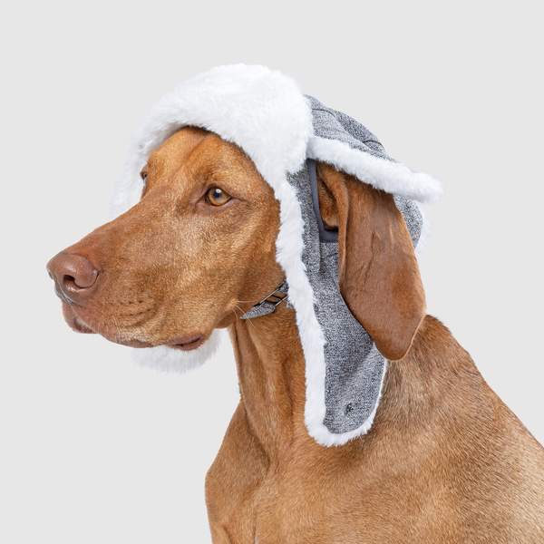 Arctic Air Dog Hat – Winter Dog Hat | Canada Poo