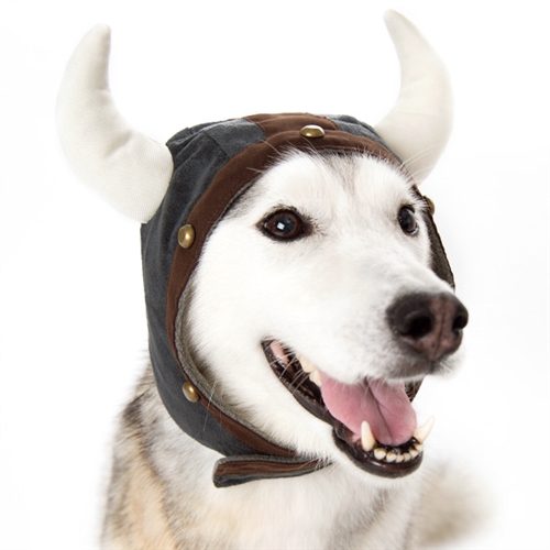 Viking Helmet Dog Hat from BowWowsBest.com, Dog caps, hats and .