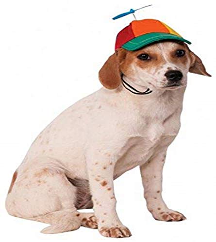The 50 Best Dog Hats of 2020 - Pet Life Tod