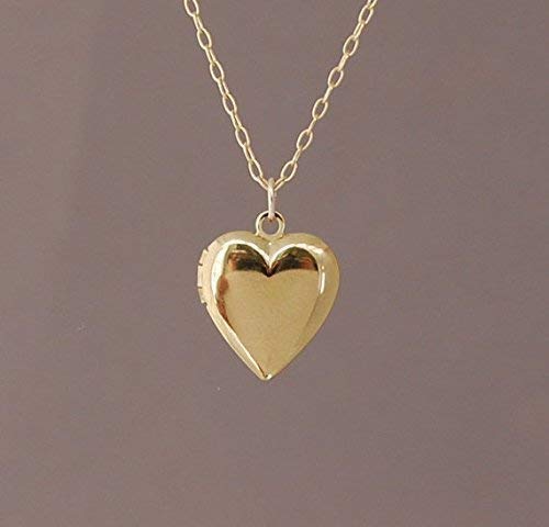 Amazon.com: Small Gold Filled Heart Locket Necklace also in .