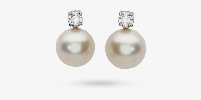 White Gold South Sea Pearl Stud Earrings - Gold Pearl Earrings Png .