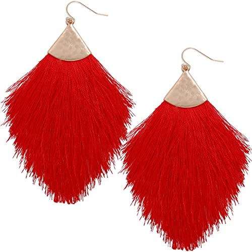 Long Dangle Red Earrings: Amazon.c