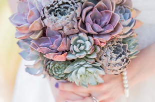 The 7 Best Succulents for Wedding Arrangemen
