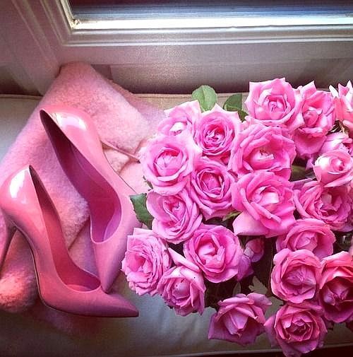 Pink Everything Inspiration (With images) | Pink, Pink roses, Pink .
